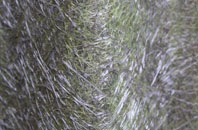 Crown Hills fibreglass roof work